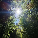 Szálloda Haus Marvin 3*