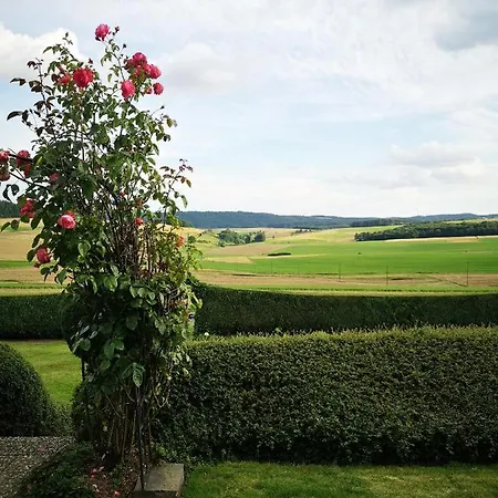 Haus Marvin Dottingen (Rhineland-Palatinate)