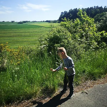 Haus Marvin Hotel 3*