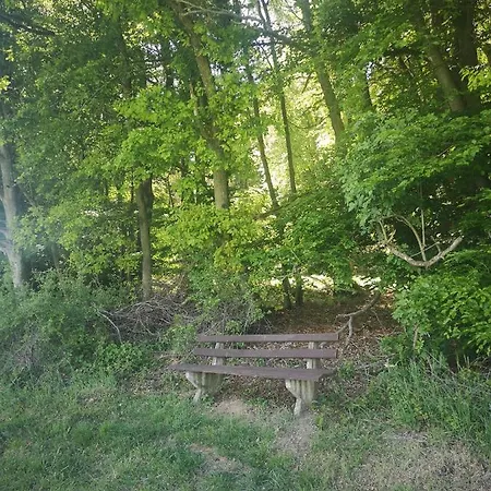 Haus Marvin Hotel 3*