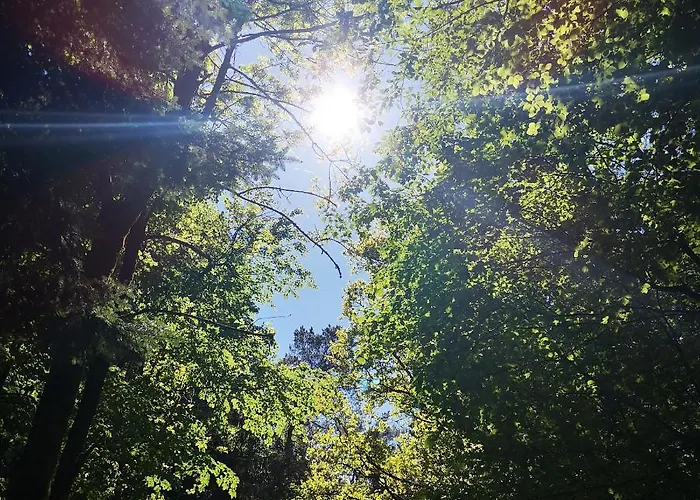 מלון Haus Marvin 3*