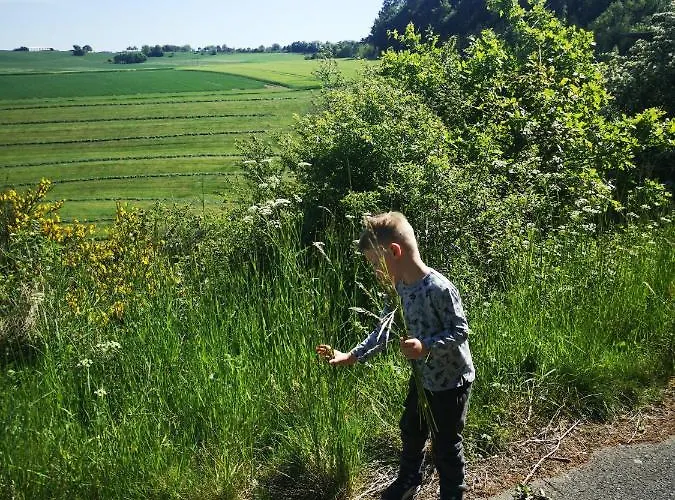 Haus Marvin מלון 3*