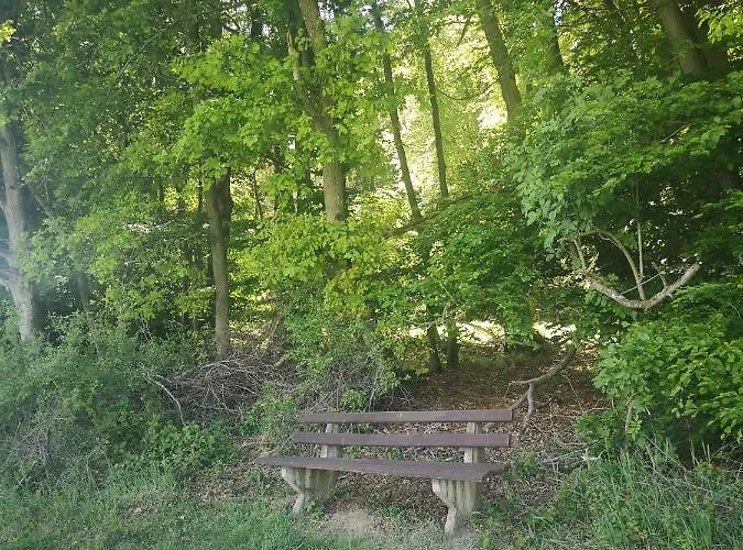 Haus Marvin מלון 3*